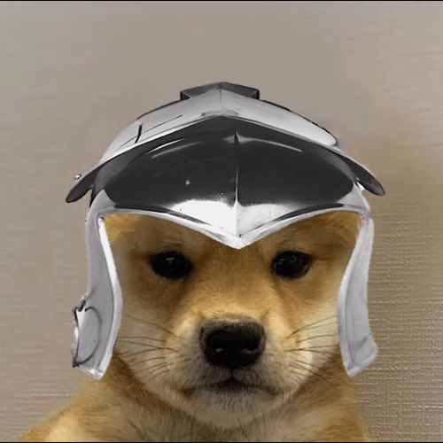 Real Dog with Helmet